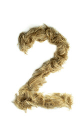 Creative typography made with real dog hair. Blonde hair on white background Dogs, cats, pets, monsters and other furry animals. Complete alphabet. Number 2