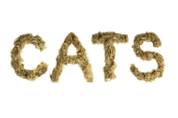 Creative typography made with real dog hair. Blonde hair on white background Dogs, cats, pets, monsters and other furry animals. Complete alphabet. Word CATS