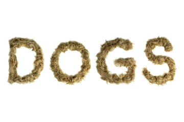 Creative typography made with real dog hair. Blonde hair on white background Dogs, cats, pets, monsters and other furry animals. Complete alphabet. Word DOGS
