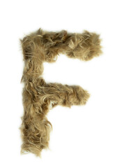 Creative typography made with real dog hair. Blonde hair on white background Dogs, cats, pets, monsters and other furry animals. Complete alphabet. Letter F