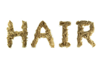 Creative typography made with real dog hair. Blonde hair on white background Dogs, cats, pets, monsters and other furry animals. Complete alphabet. Word HAIR