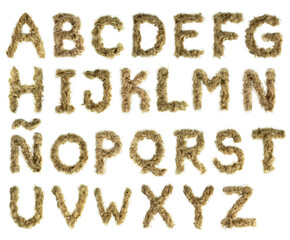 Creative typography made with real dog hair. Blonde hair on white background Dogs, cats, pets, monsters and other furry animals. Complete alphabet. Small letters.