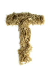 Creative typography made with real dog hair. Blonde hair on white background Dogs, cats, pets, monsters and other furry animals. Complete alphabet. Letter T