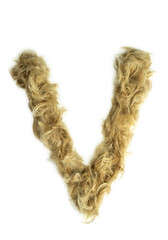 Creative typography made with real dog hair. Blonde hair on white background Dogs, cats, pets, monsters and other furry animals. Complete alphabet. Letter V