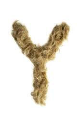 Creative typography made with real dog hair. Blonde hair on white background Dogs, cats, pets, monsters and other furry animals. Complete alphabet. Letter Y