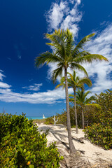 Krajobraz morski, tropikalna piaszczysta plaża, widok na horyzont, wakacje i wypoczynek w słoneczny dzień, linia brzegowa nad oceanem, tapeta, egzotyczne tło, Kuba © anettastar