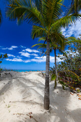 Krajobraz morski, tropikalna piaszczysta plaża, widok na horyzont, wakacje i wypoczynek w słoneczny dzień, linia brzegowa nad oceanem, tapeta, egzotyczne tło, Kuba © anettastar