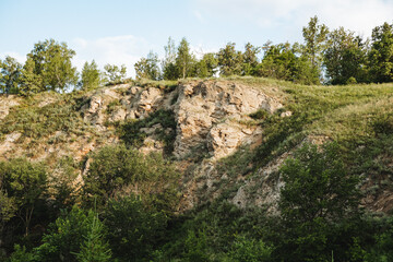 Cliff view at dawn, green forest growing on top of mountain, beautiful serene landscape,