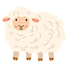 Flat vector illustration. Domestic animals from a farm. Cute sheep on white background . Vector illustration