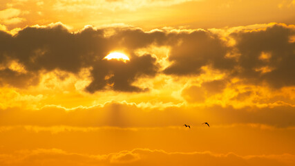 Sunrise, magnificent sunrise with its beautiful colors in winter Brazil, natural light, selective focus.