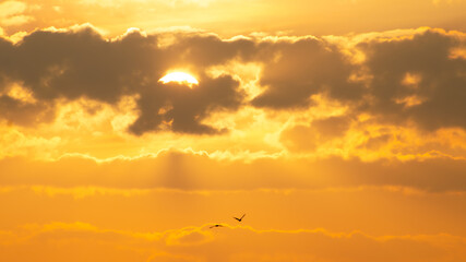Sunrise, magnificent sunrise with its beautiful colors in winter Brazil, natural light, selective focus.
