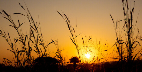 Sunrise, magnificent sunrise with its beautiful colors in winter Brazil, natural light, selective focus.