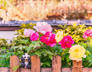A cute panda figurine sits nestled in a wooden fence surrounded by blooming pink, white, and yellow...