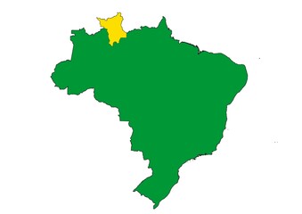 Obraz premium Roraima state location within Brazil