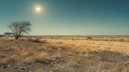 A lone tree stands in a dry, barren field. The sky is clear and blue, and the tree is the only sign of life in the otherwise desolate landscape