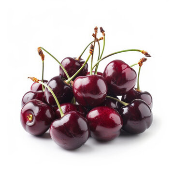 A bunch of fresh, dark red cherries with green stems, isolated on white background