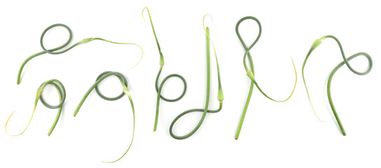 Garlic scape isolated on white background. Green garlic arrows stalks.