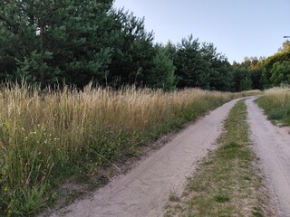 path in the field