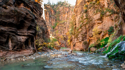 The Upper Narrows of Zion, Top-Down Trail, Zion National Park, Utah