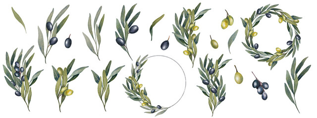 Watercolor olive tree leaves, branch, green and black olives fruit. Isolated elements, compositions, frames. Hand paint floral illustration for wedding stationary, greeting, wallpaper, print, fabric.