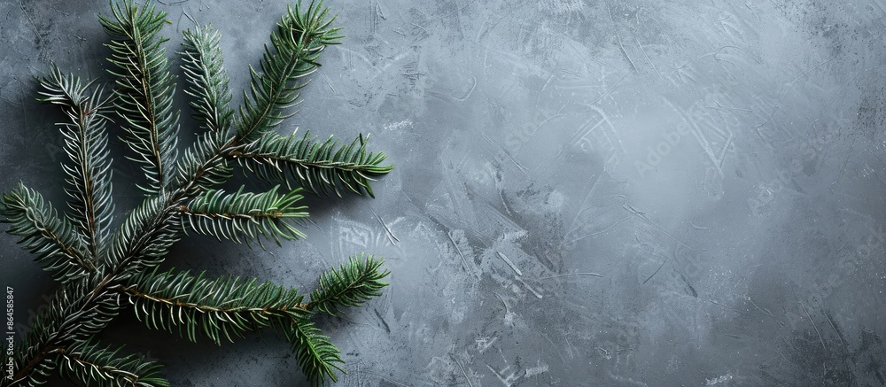 Poster christmas or winter-inspired background featuring a top view layout with a fir tree branch on a gray
