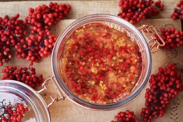 Fabricatioon of herbal tincture from crushed red elderberry or Sambucus racemosa fruit harvested in june