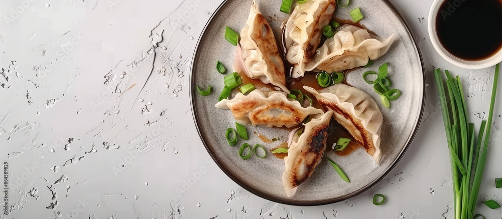 Poster dumplings like gyoza or jiaozi presented on a plate with soy sauce and green onions, viewed from abo