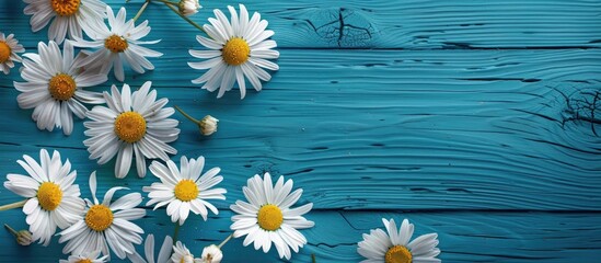 Chamomile flowers on a blue wooden surface provide a medicinal touch in a top-down view, with a spot for a caption in the copy space image.