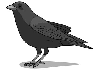 Crow learn birds educational game PNG illustration