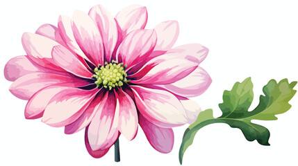 A yellow flower on a stem with green leaves 2d flat