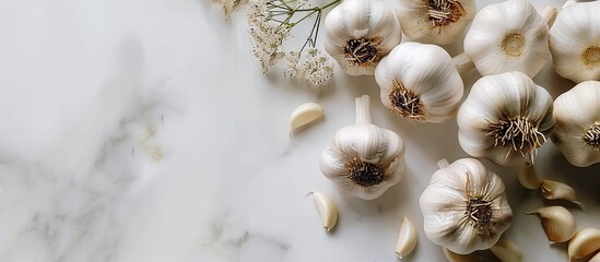 Fototapeta premium Garlic with copy space image on a white background.