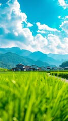 Naklejka premium Landscape Photography Reference. Real Photo of Rural Area. Green and Blue Fresh Color of Picture