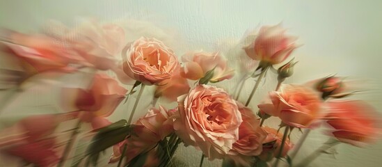 Blurry roses create an artistic copy space image.