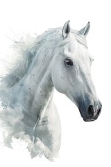 Fototapeta premium White Horse Head Close Up