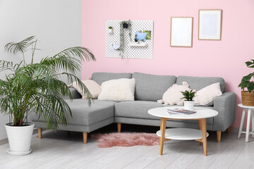 Living room with cozy sofa, coffee table, houseplant and pegboard