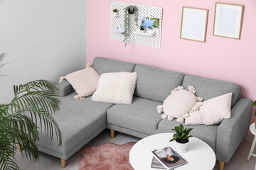 Living room with cozy sofa, coffee table, houseplant and pegboard