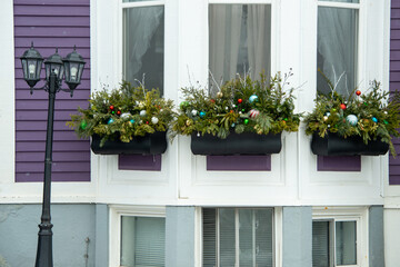 Fototapeta premium Three black window boxes filled with Christmas decor hung on the outside of a purple wooden house with white trim. The wood pots are filled with ornaments, plastic balls, and green spruce garlands. 