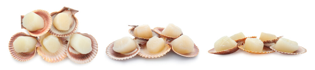 Fresh scallops isolated on white, set. Seafood