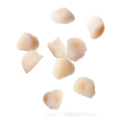 Many fresh scallops falling on white background