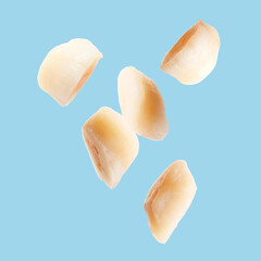 Many fresh scallops falling on light blue background