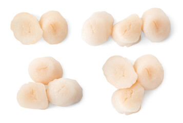 Fresh scallops isolated on white, set. Seafood