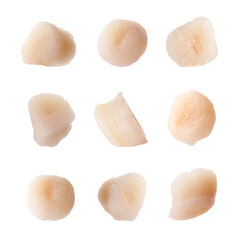 Fresh scallops isolated on white, set. Seafood