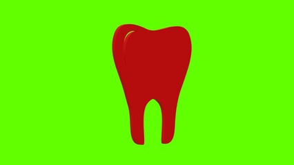 tooth dentist molar red set icon 3d illustration rotation