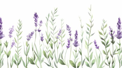 Obraz premium A watercolor painting of a row of lavender flowers, background, wallpaper