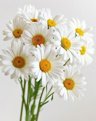 Obraz premium Bouquet of white chamomile flowers close-up on white background