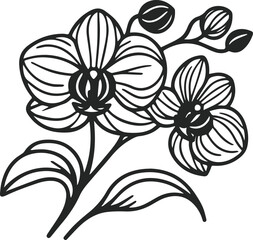 Luxury Orchid Flower Botanical Vector Illustration