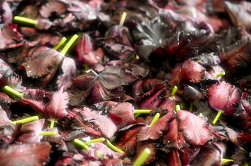 花びらの集まり