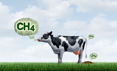 Methane Emmissions From Livestock and the Environmental impact of cow belching and burping  or flatulence and manure CH4 due to enteric fermentation.