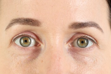 Woman with beautiful green eyes, closeup view