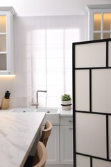 Stylish kitchen interior with folding screen and countertop